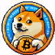 coindog