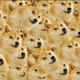 doge