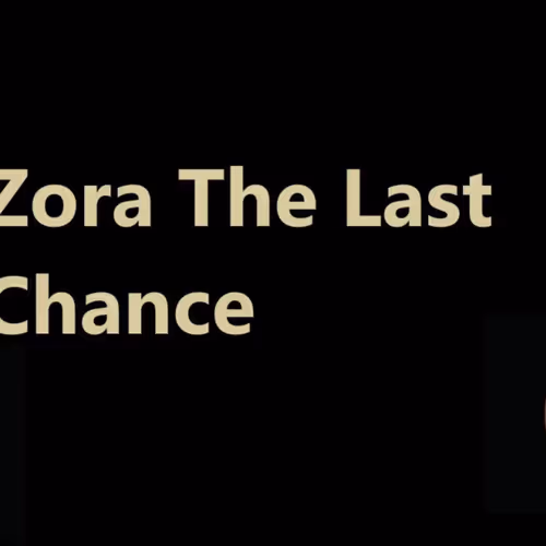 The Last Chance