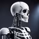 Robotic skeleton