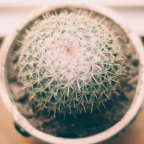 Breaking Coordinated Expand