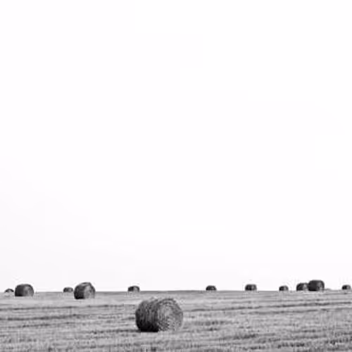 DUTIES LANGUAGE UPON