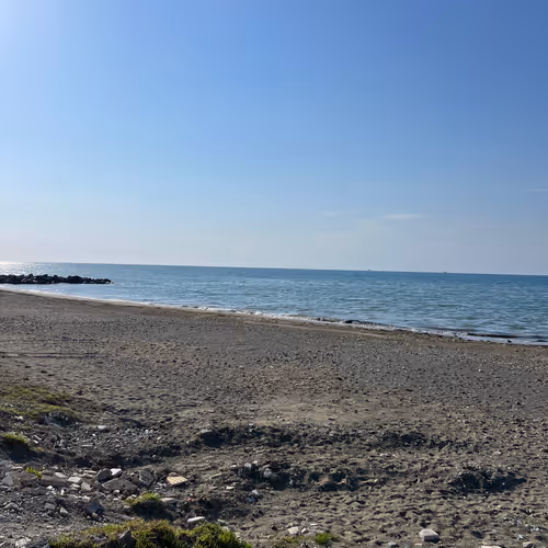 sea