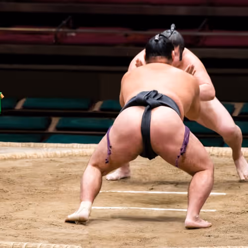 Sumo