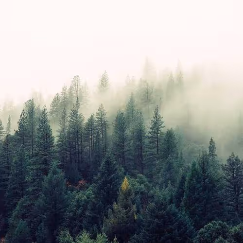 Rear Admissions Falling