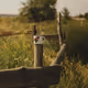 cap