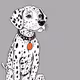 Cartoon Dalmatian