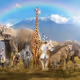 Animals Jobs