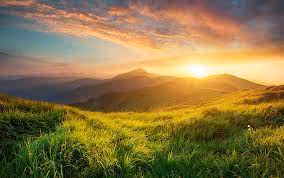 fresh