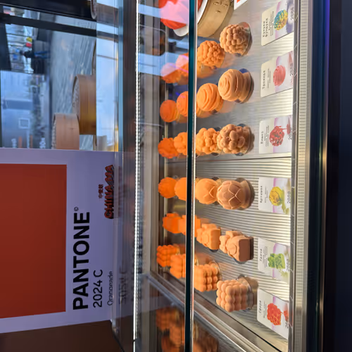 PANTONE 2024