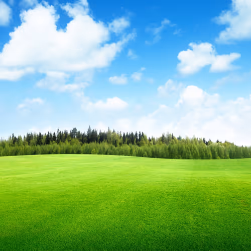 0x9234cf6e897e4ecc7fb22b646c4d474ed40c9d5e