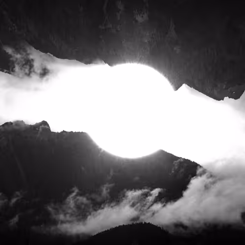 Into Shadows Light