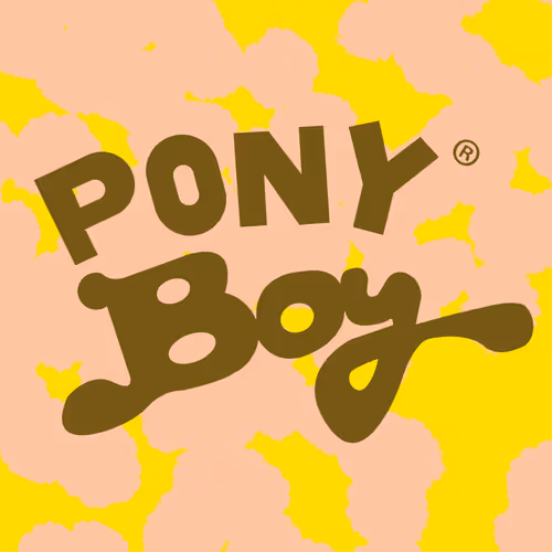 The Magical World of Pony Boy
