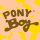 The Magical World of Pony Boy