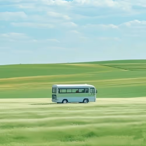 bus