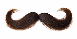 Mustache