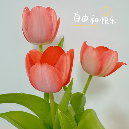 tulip