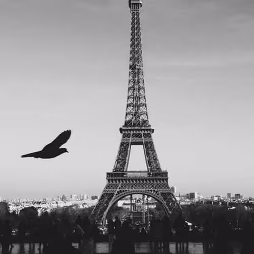 Layer Nominated Strategic