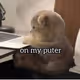 Always on Puter