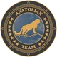 Anatolian Team Logo