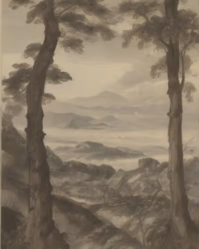 winter and summer nature33