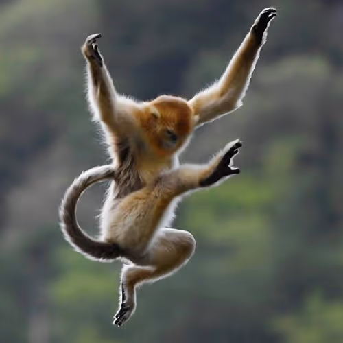 Nature's Martial Art