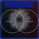 rhizome