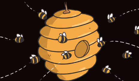 HONEY BEAR O HONEY BEAR