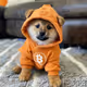 Bitcoin Dog