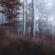 Spatial