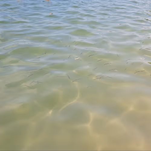 river