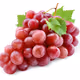 Vinograd