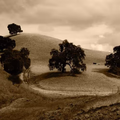 Unsubscribe Coordinate