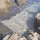 sea