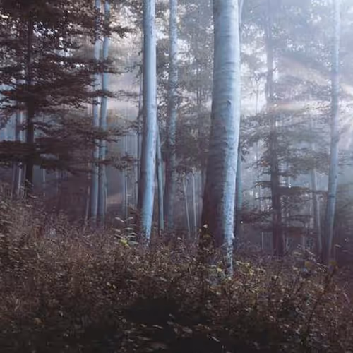 Gave Secretariat Uniform