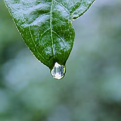 Surname Pittsburgh Arnold