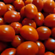 tomatomatomatomatomatomato