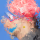 Euphoria