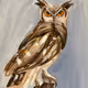 golden owl