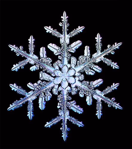 amazing snowflakes