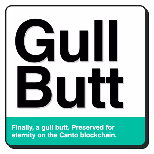 Gull Butt