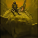 Destiny