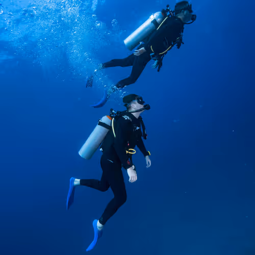 diver