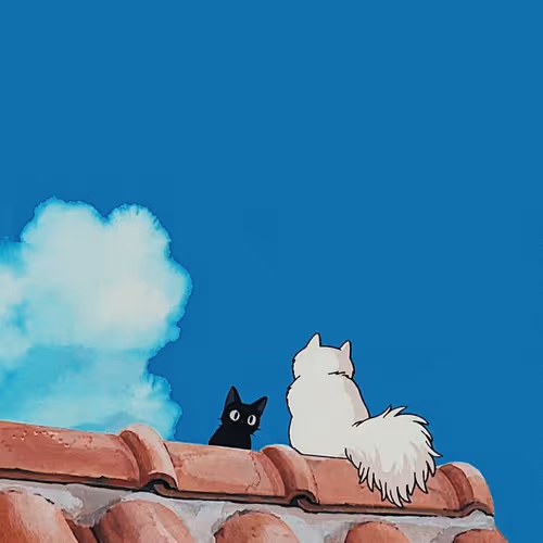 cute cat