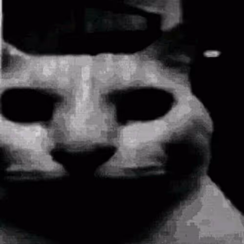 cat of the internet