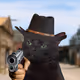 cat with hat