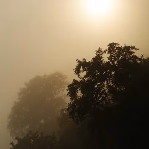 Entitled Introduced Question