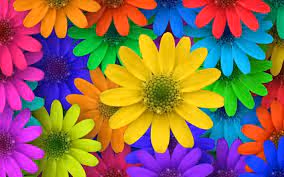 0xc2fdaaaec83cf72cd993f46c93bf9212f26a5170