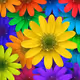 0xc2fdaaaec83cf72cd993f46c93bf9212f26a5170