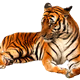 gykj645